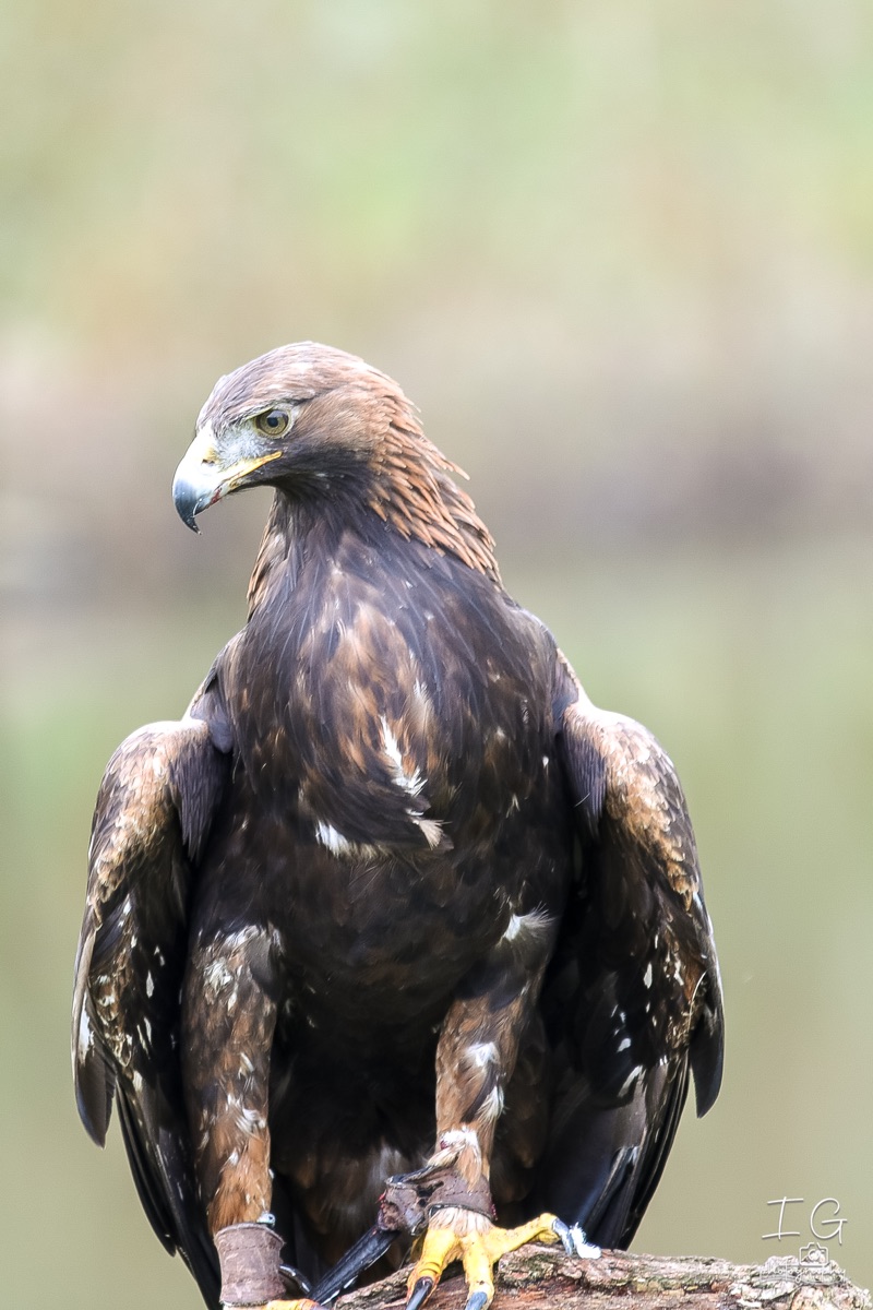 20211023 AK6I0036 insta